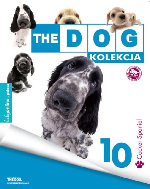 Image of Cocker Spaniel