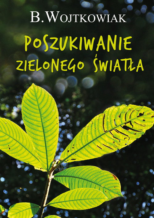 Image of Poszukiwanie zielonego światła