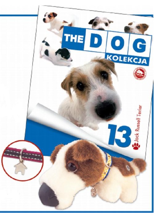 Image of Dog Kolekcja 13 Jack Russell Terrier