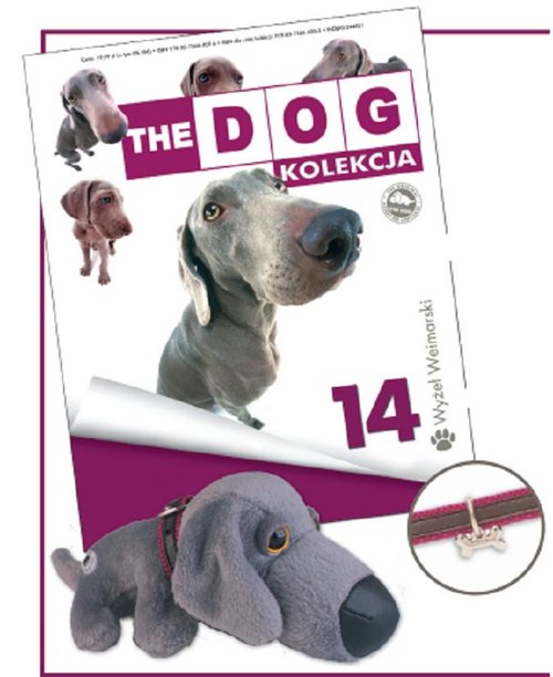 Image of Wyżeł Wajmarski