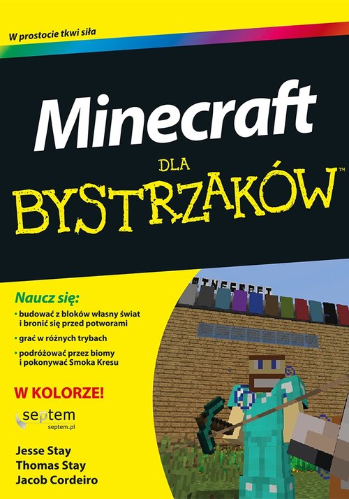 Image of Minecraft dla bystrzaków