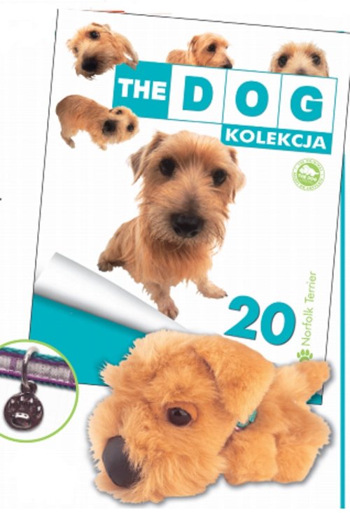 Image of The dog Norfolk Terier