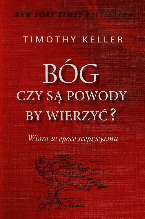 Image of Bóg Czy są powody by wierzyć Wiara w epoce sceptycyzmu