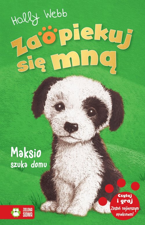 Image of Zaopiekuj się mną Maksio szuka domu