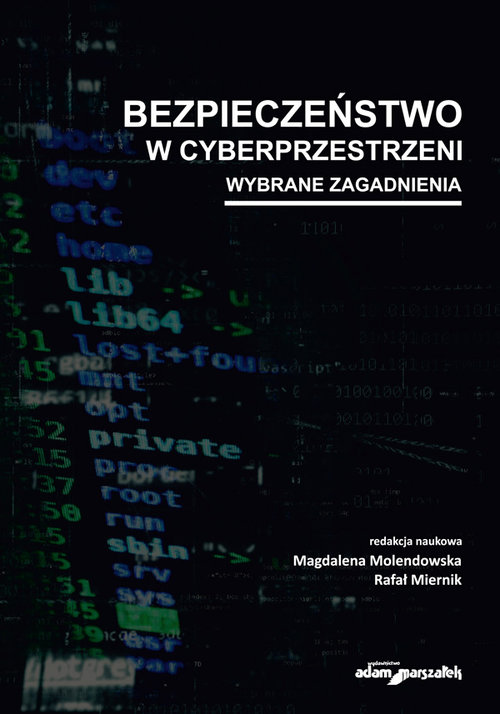 Image of Bezpieczeństwo w cyberprzestrzeni Wybrane zagadnienia