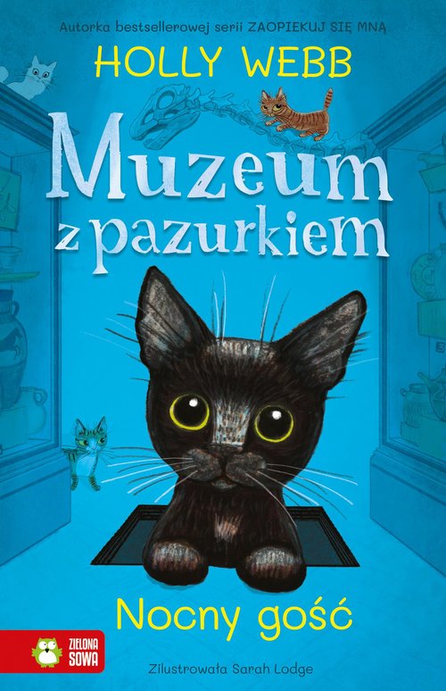 Image of Muzeum z pazurkiem Nocny gość