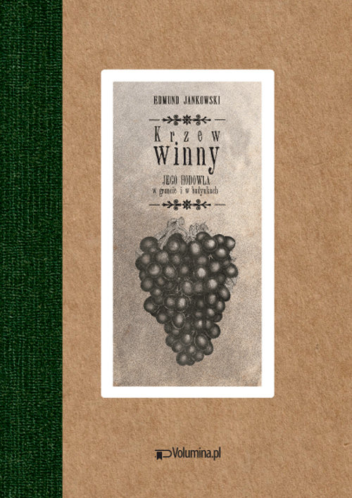 Image of Krzew winny