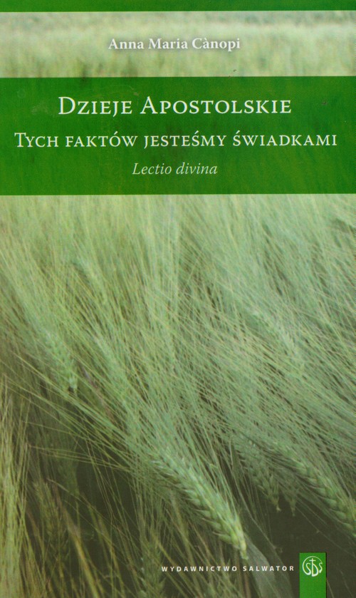 Image of Dzieje apostolskie Tych faktów jesteśmy świadkami Lectio divina