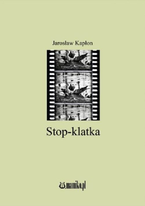 Image of Stop-klatka