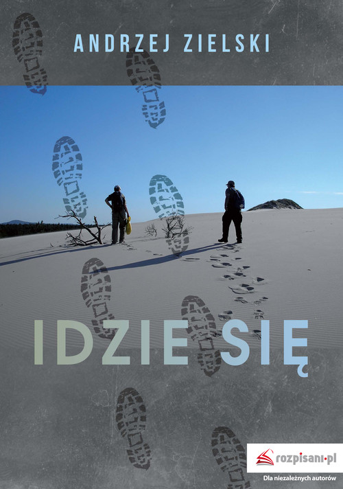 Image of Idzie się