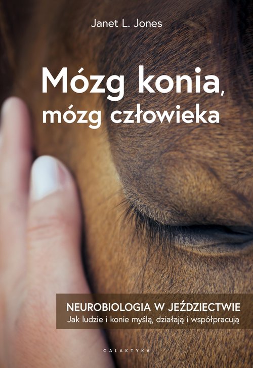 Image of Mózg konia, mózg człowieka Neurobiologia w jeździectwie