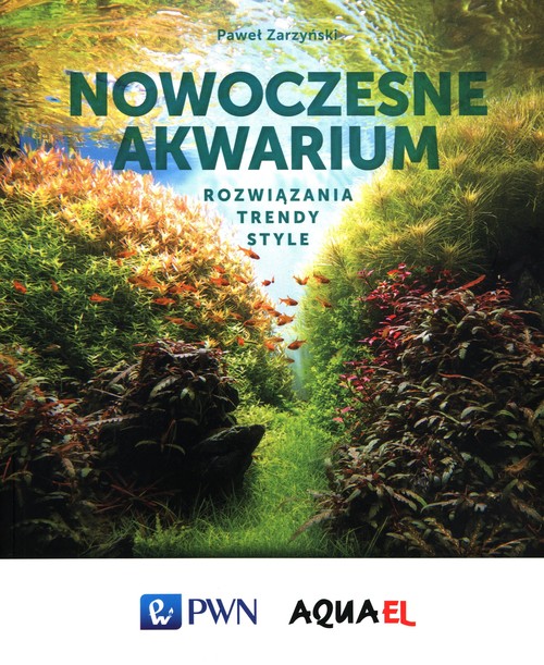 Image of Nowoczesne akwarium Rozwiązania trendy style