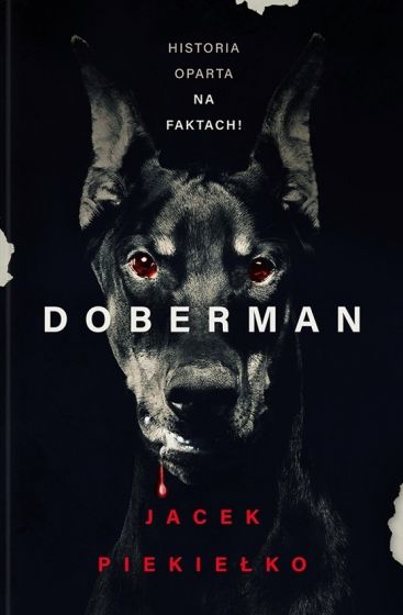 Image of Doberman