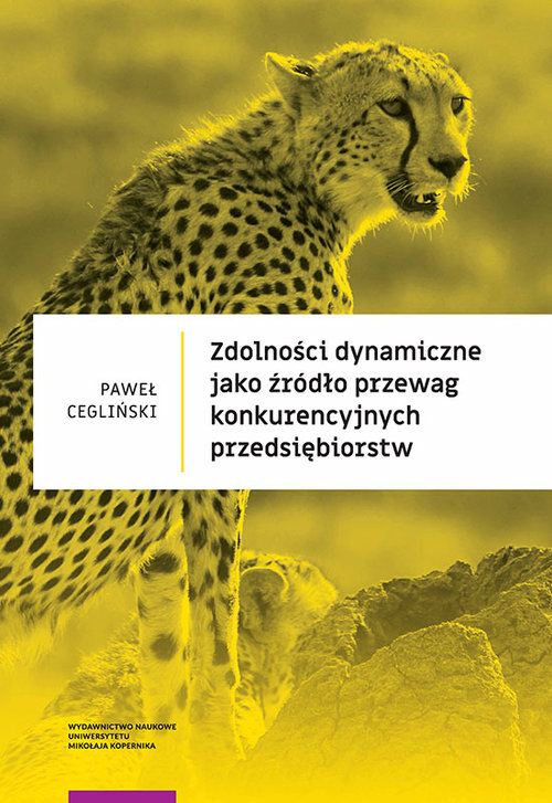 Image of Zdolności dynamiczne jako źródło przewag konkurencyjnych przedsiębiorstw