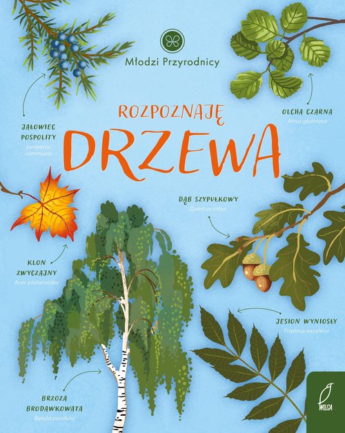 Image of Młodzi przyrodnicy Rozpoznaję drzewa