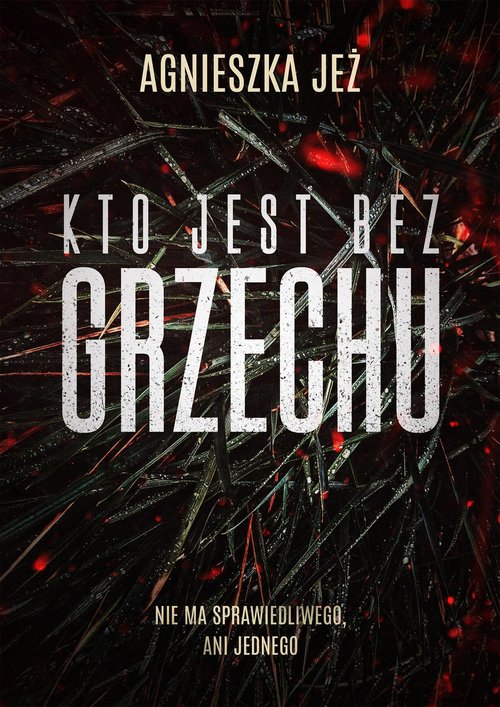 Image of Kto jest bez grzechu