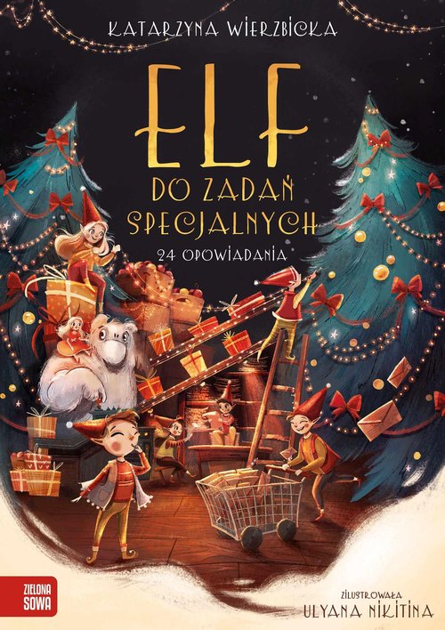 Image of Elf do zadań specjalnych 24 opowiadania
