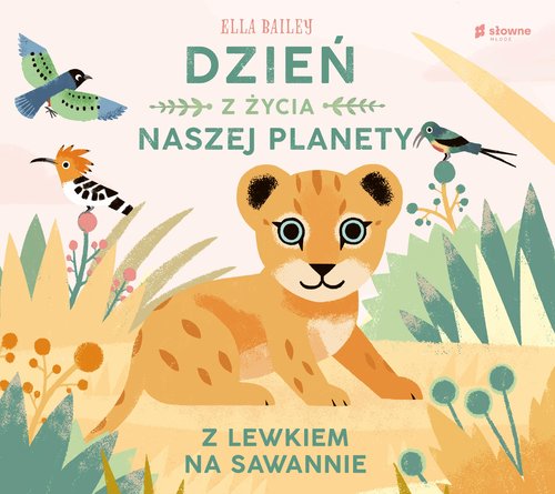 Image of Dzień z życia naszej planety Z lewkiem na sawannie