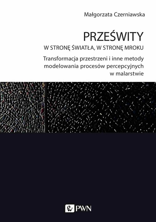 Image of Prześwity W stronę światła, w stronę mroku Transformacja przestrzeni i inne metody modelowania procesów percepcyjnych w malarstwie