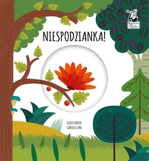 Image of Niespodzianka Magiczne koło Kapitan Nauka