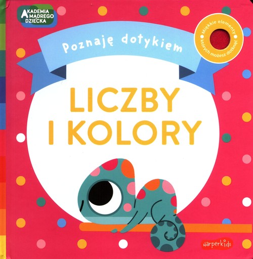 Image of Liczby i Kolory Poznaję dotykiem