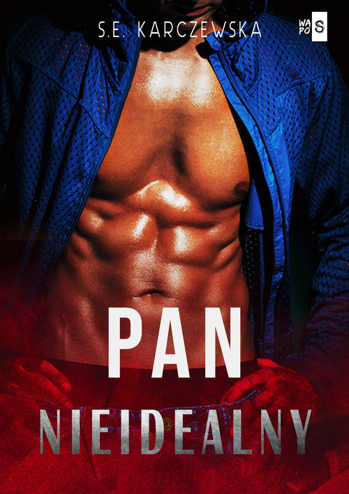 Image of Pan nieidealny