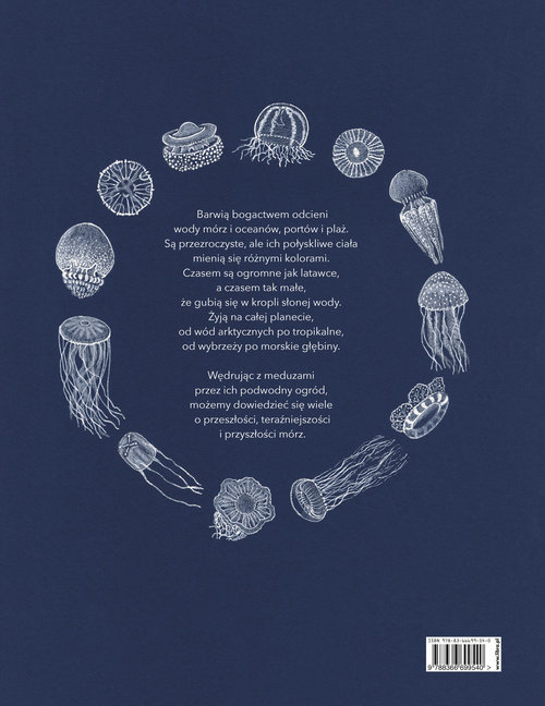 Image of Ogród meduz