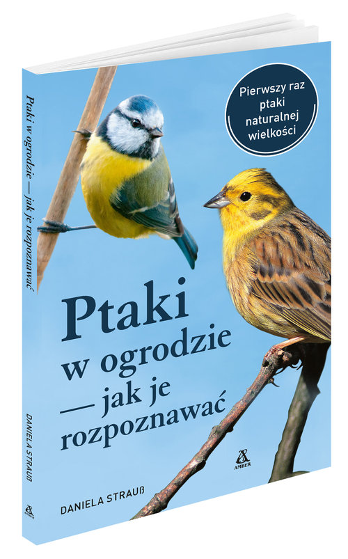 Image of Ptaki w ogrodzie - jak je rozpoznawać