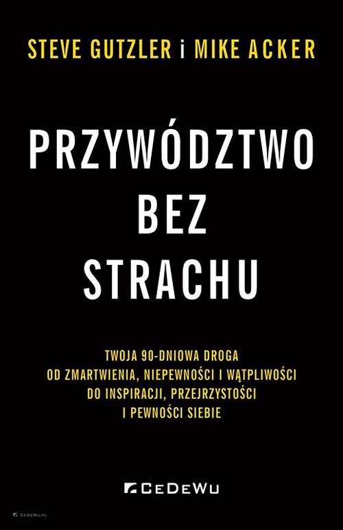 Image of Przywództwo bez strachu Twoja 90-dniowa droga od zmartwienia, niepewności i wątpliwości do inspiracji, przejrzystości i pewn
