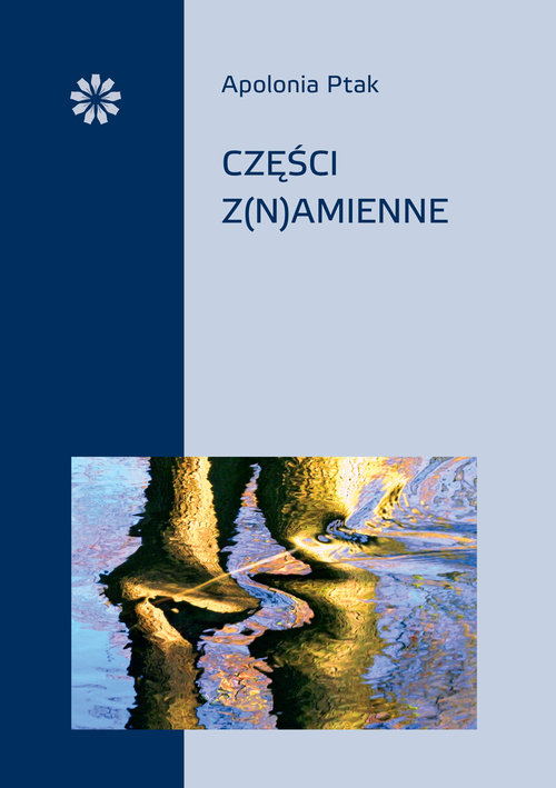 Image of Części z(n)amienne