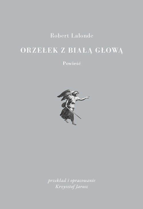 Image of Orzełek z białą głową
