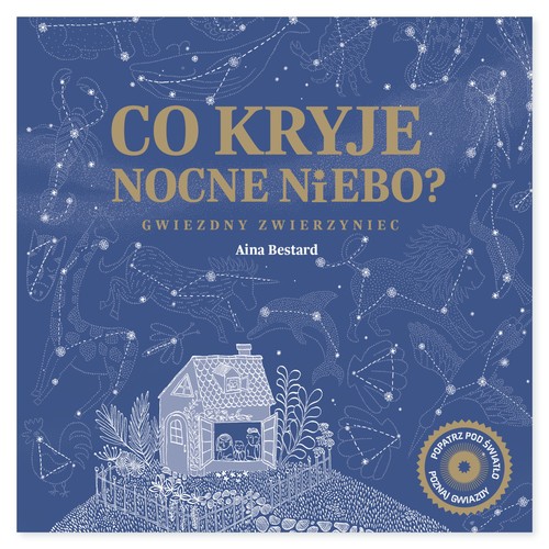 Image of Co kryje nocne niebo