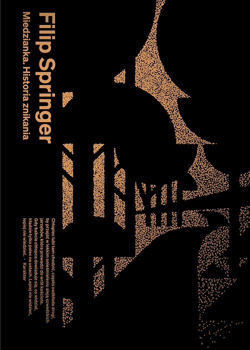 Image of Miedzianka. Historia znikania