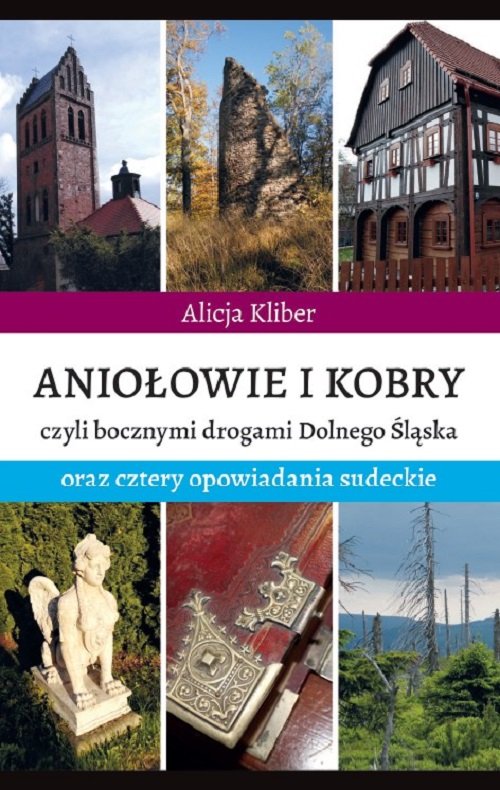 Image of Aniołowie i kobry