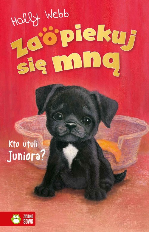 Image of Zaopiekuj się mną Kto utuli Juniora?