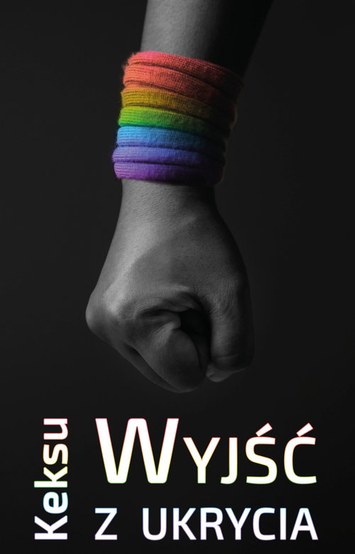 Image of Wyjść z ukrycia