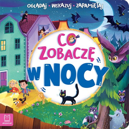 Image of Co zobaczę w nocy Oglądaj, wskazuj, zapamiętu