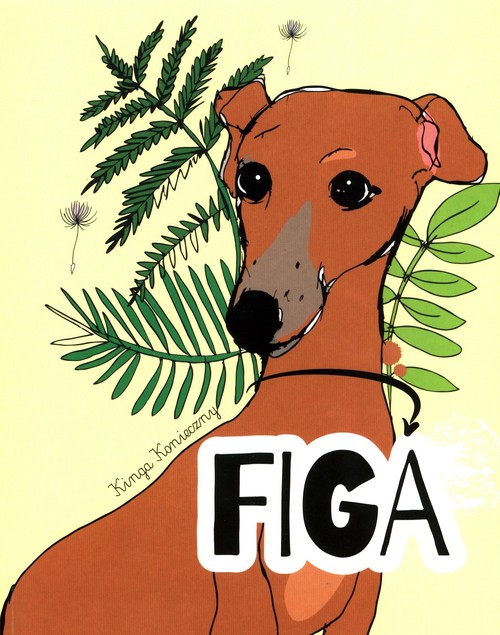 Image of Figa