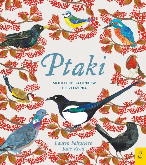 Image of Ptaki Modele 3D