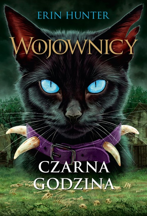 Image of Czarna Godzina Wojownicy Tom 6