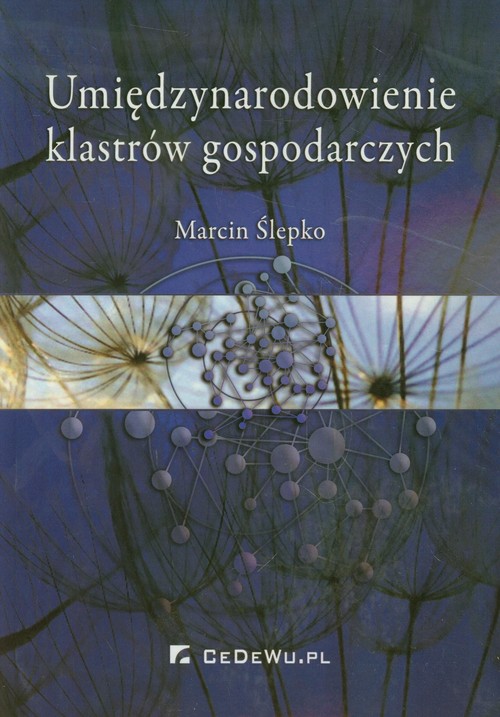 Image of Umiędzynarodowienie klastrów gospodarczych