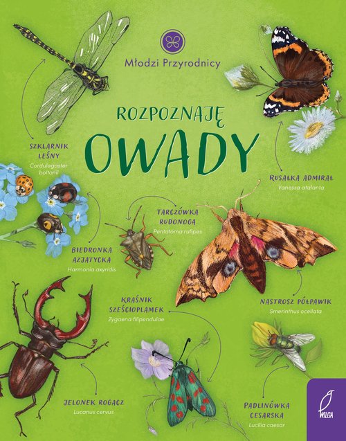 Image of Młodzi przyrodnicy Rozpoznaję owady
