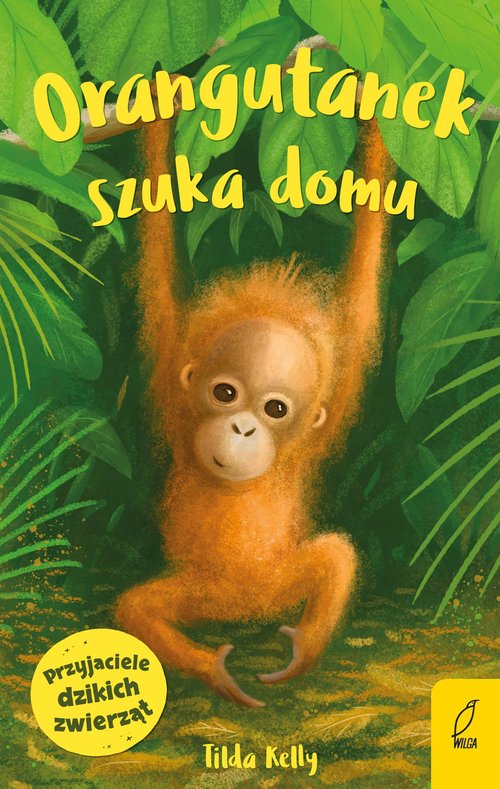 Image of Przyjaciele dzikich zwierząt Orangutanek szuka domu