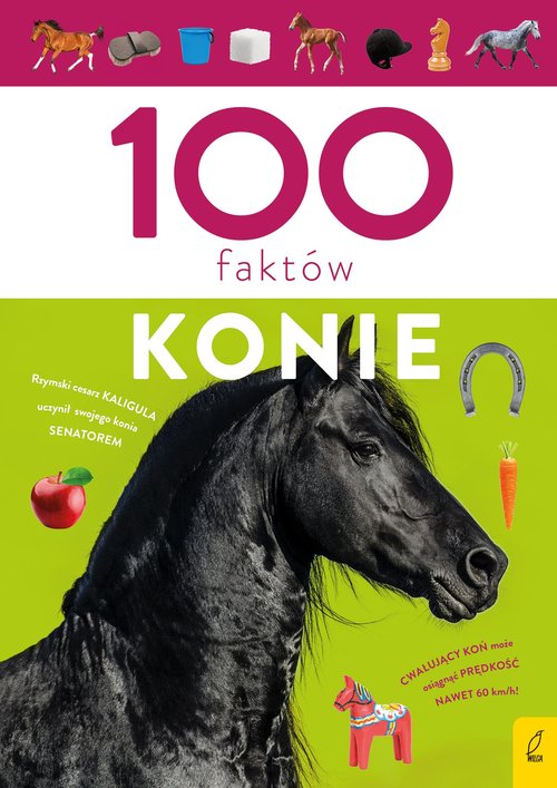 Image of 100 faktów. Konie
