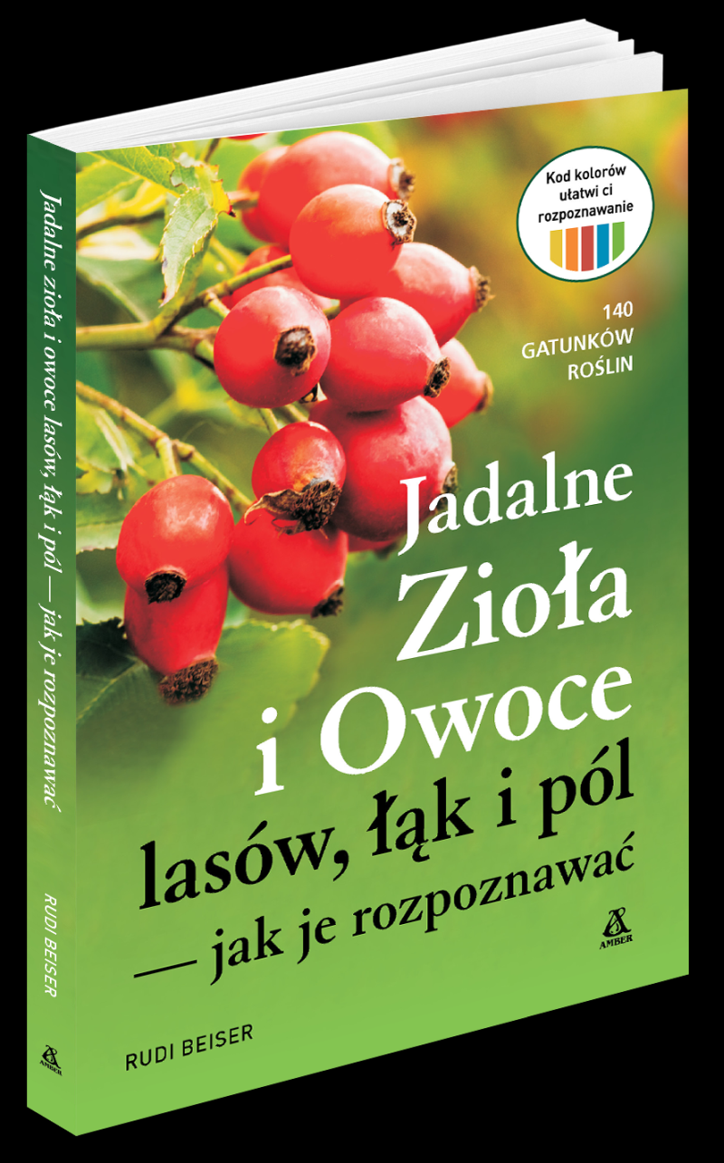 Image of Jadalne zioła i owoce lasów, łąk i pól – jak je rozpoznawać