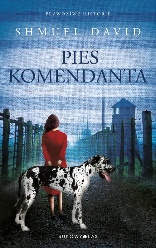 Image of Pies komendata