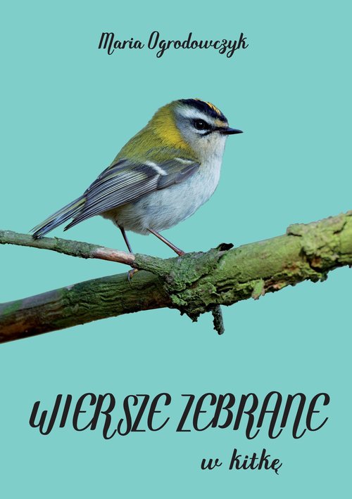 Image of Wiersze zebrane w kitkę