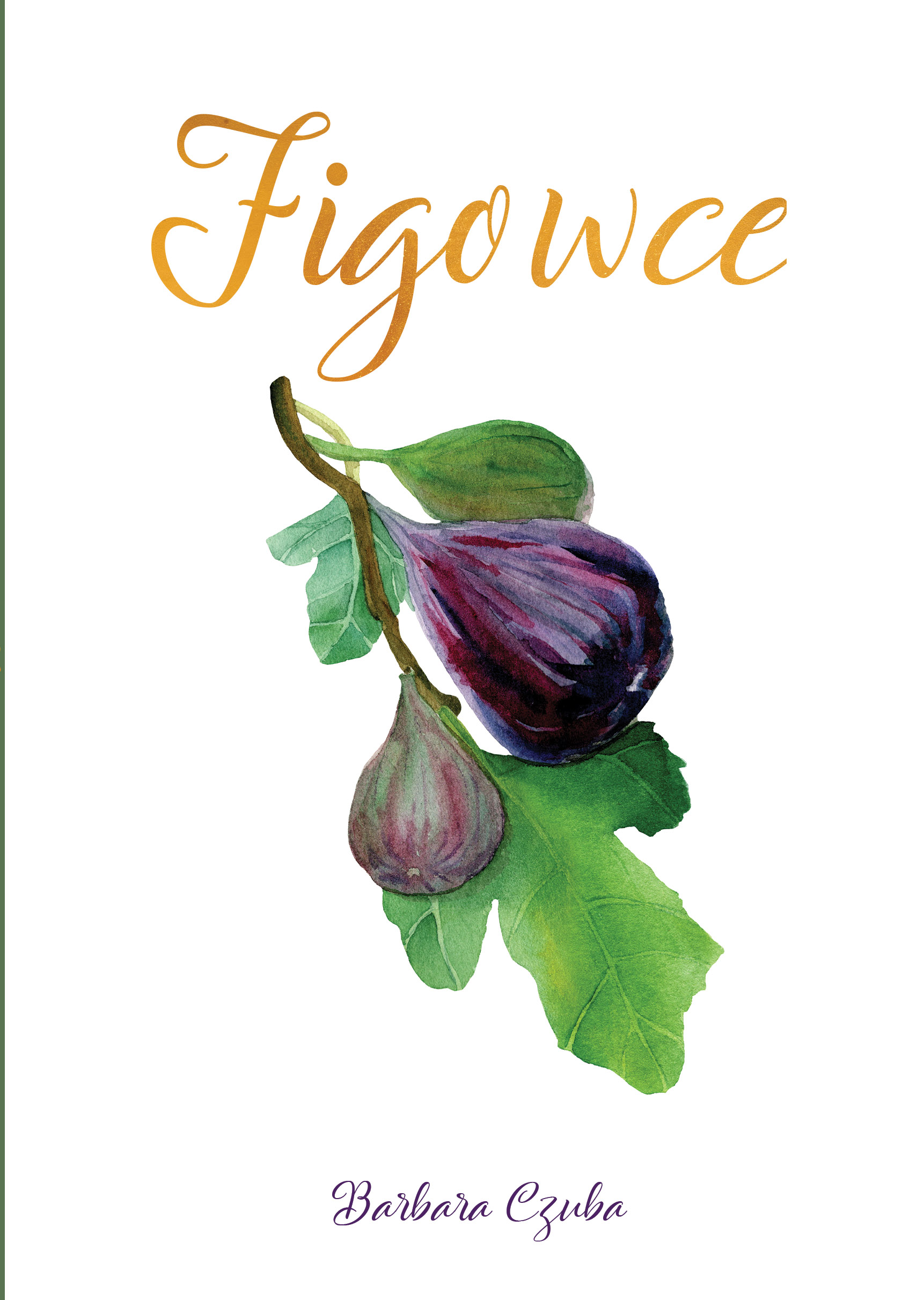 Image of Figowce