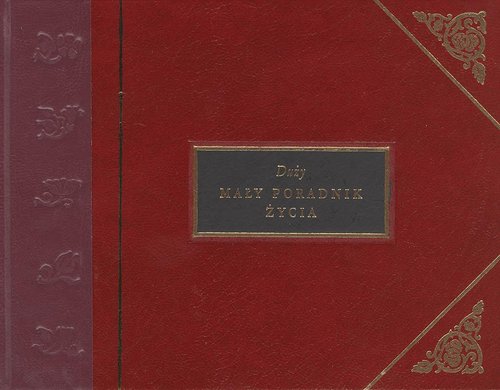 Image of Duży mały poradnik życia