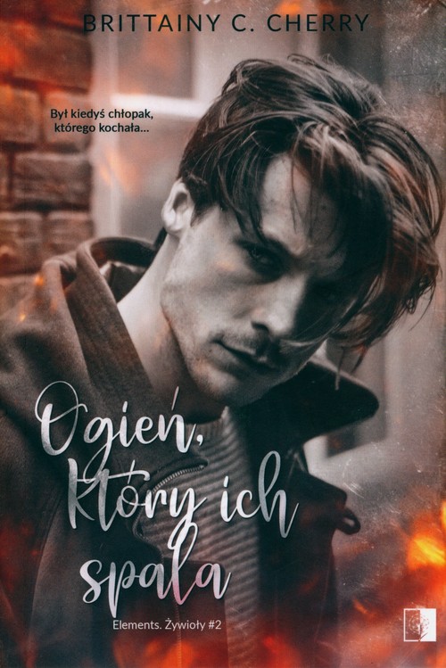 Image of Ogień, który ich spala